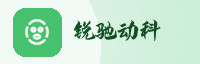 诚意伙伴